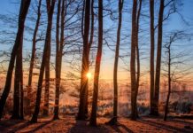 Gdzie można kupić kąpielówki męskie?