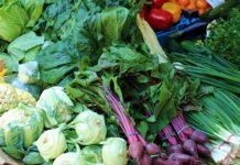 Co to jest błonnik guar?